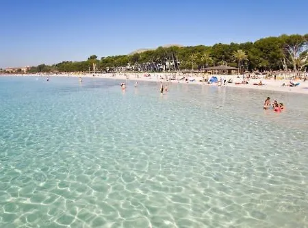 Blanca Can Picafort (Mallorca)